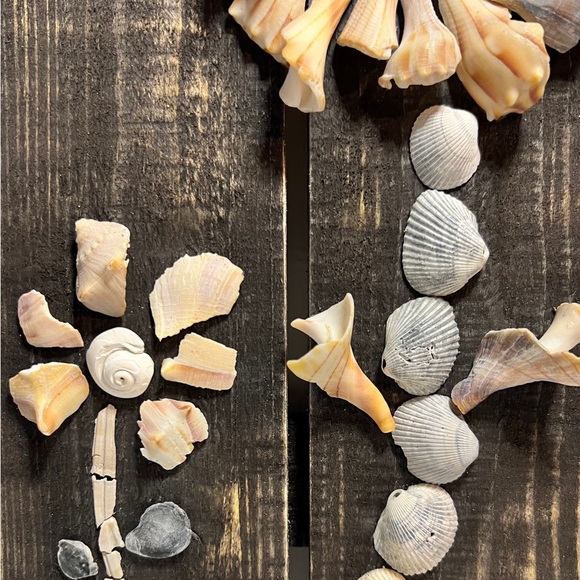 SeaShell Flower Coastal Theme Beach Decor Wall Hanging Wood Pallet Shell Art - Picture 5 of 13